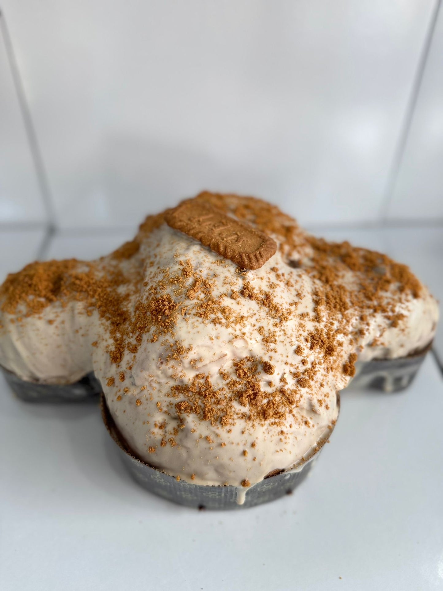Colomba gusto lotus da 1,6kg