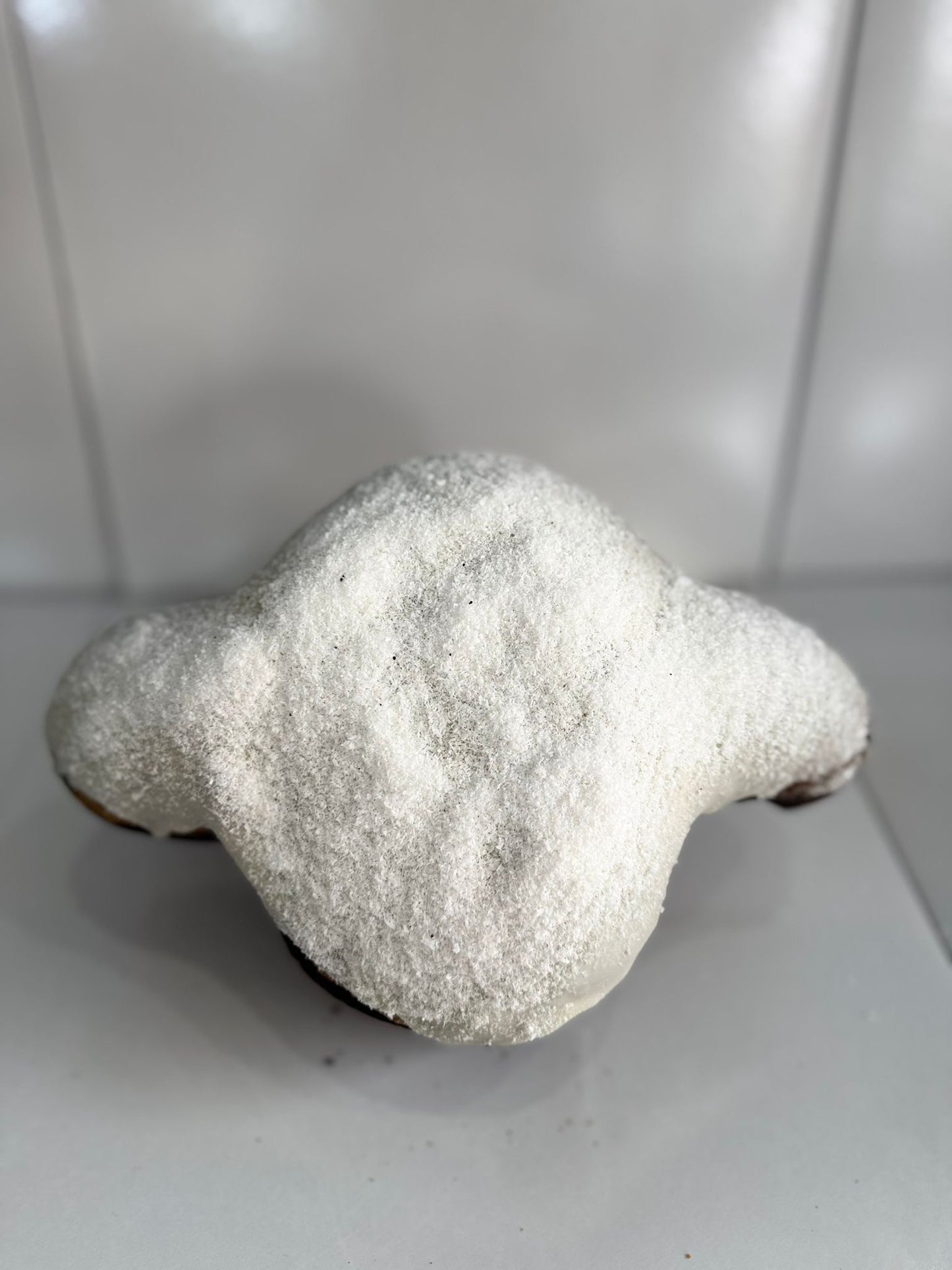 Colomba gusto cocco da 1,6kg