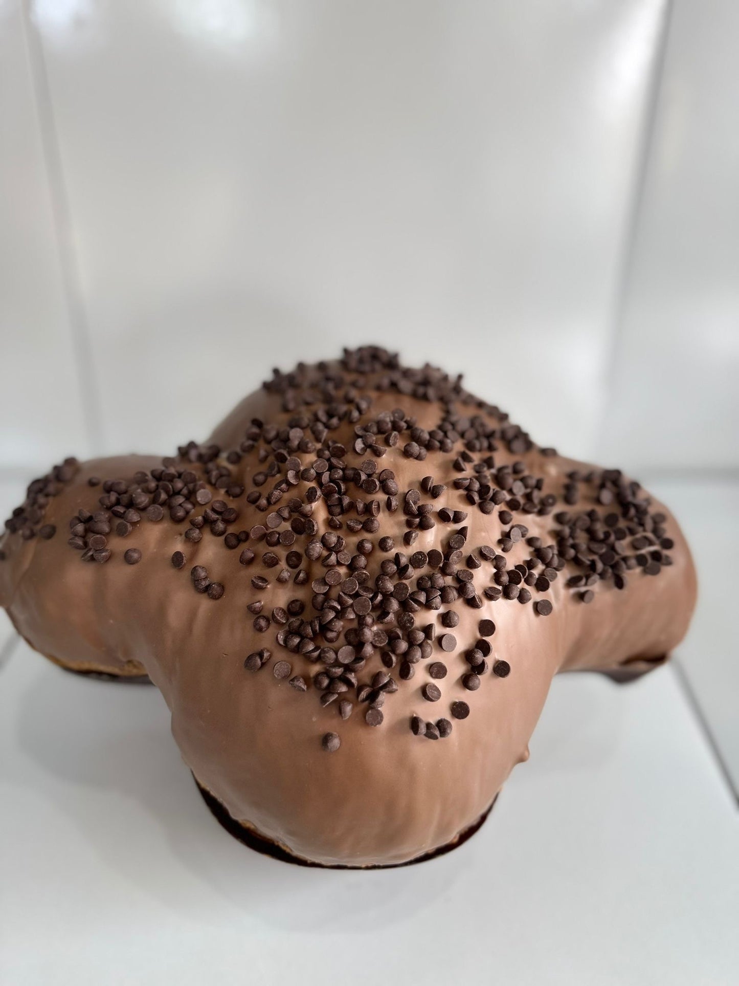 Colomba gusto Nutella da 1,6kg